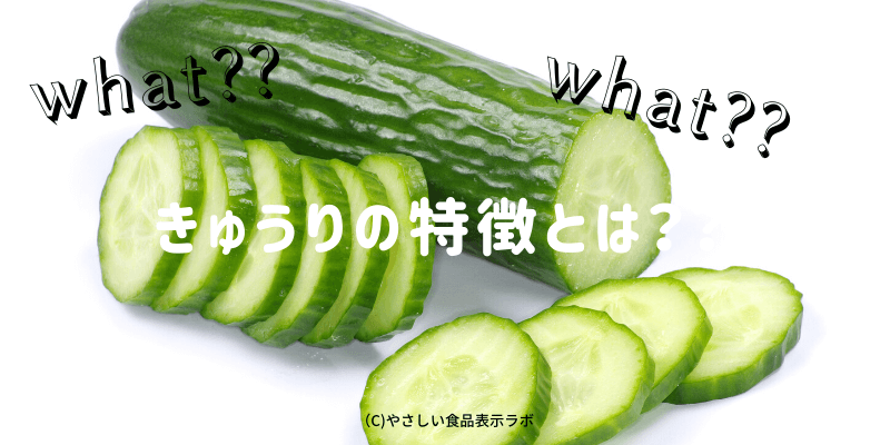 きゅうりの生産量 収穫量 の都道府県別ランキングとその推移をまとめてみた やさしい食品表示ラボ