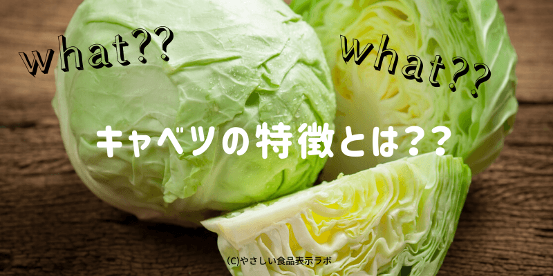 キャベツの生産量 収穫量 の都道府県別ランキングとその推移をまとめてみた やさしい食品表示ラボ