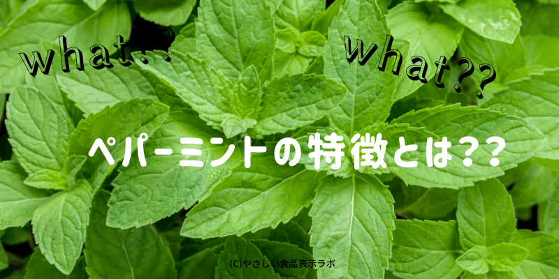 ペパーミントの消費期限 賞味期限 保存方法 日持ちさせる方法 とは 冷蔵 冷凍 解凍方法を記載 やさしい食品表示ラボ