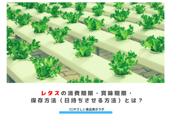 レタスの消費期限 賞味期限 保存方法 日持ちさせる方法 とは 冷蔵方法を記載 やさしい食品表示ラボ