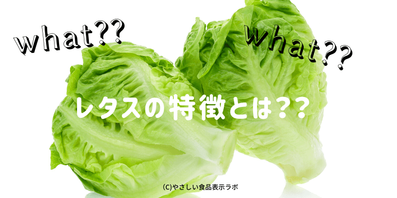 レタスの消費期限 賞味期限 保存方法 日持ちさせる方法 とは 冷蔵方法を記載 やさしい食品表示ラボ